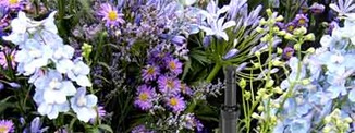 Fleurs