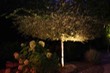 lumiere-alain-026