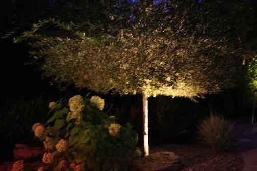 lumiere-alain-026